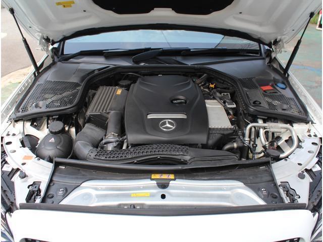 24522055_carP_l_16.jpg