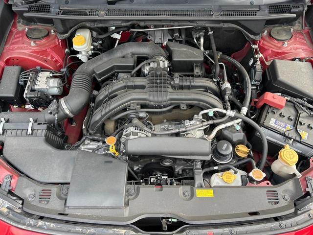 24685593_carP_l_16.jpg
