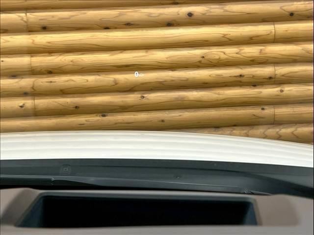 24233599_carP_l_14.jpg