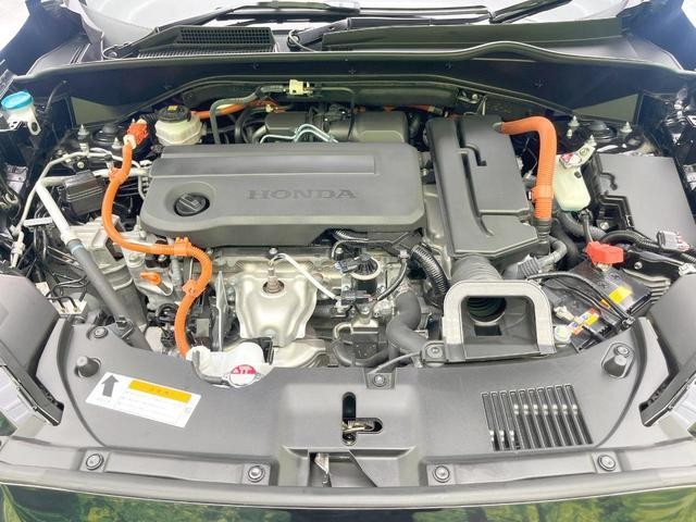 25571534_carP_l_16.jpg