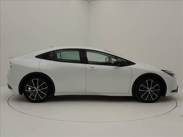 25957445_carP_l_16.jpg