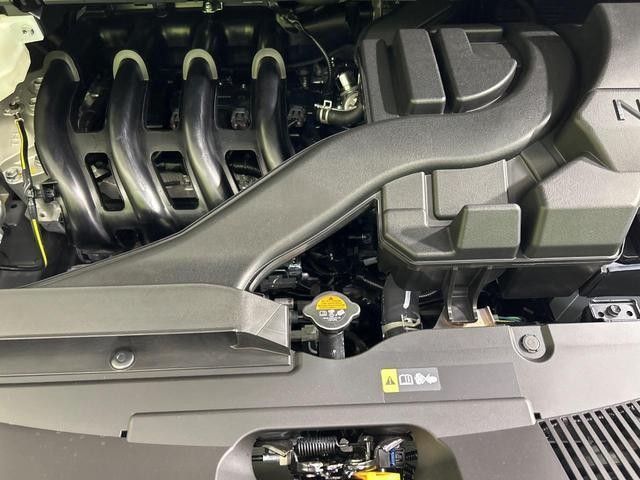 25694647_carP_l_18.jpg