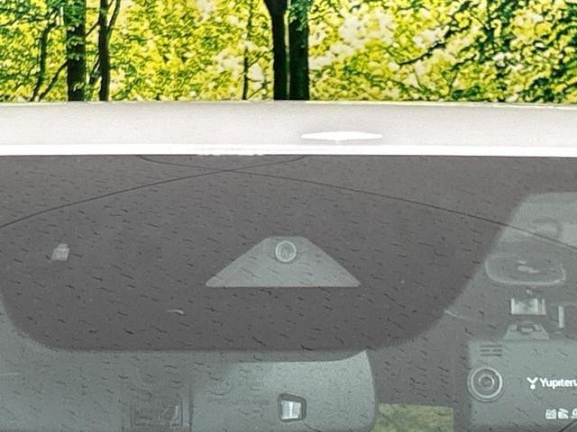 25344519_carP_l_10.jpg