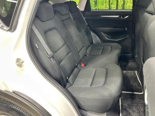 25344519_carP_l_19.jpg