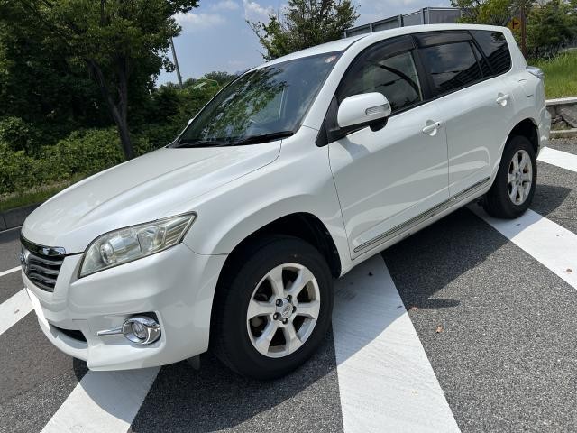 25779127_carP_l_7.jpg
