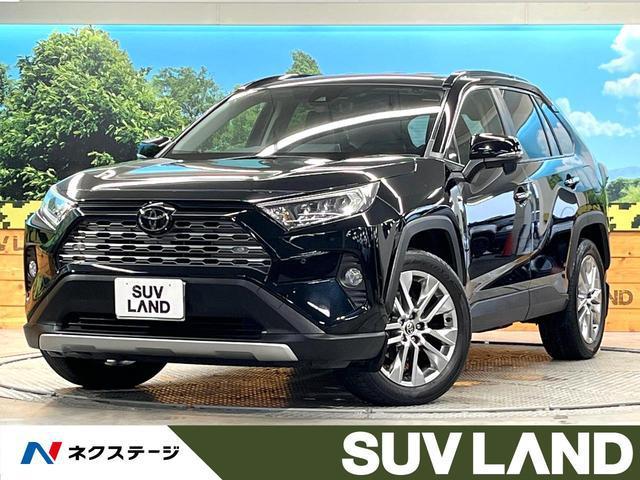 25962632_carP_l_1.jpg