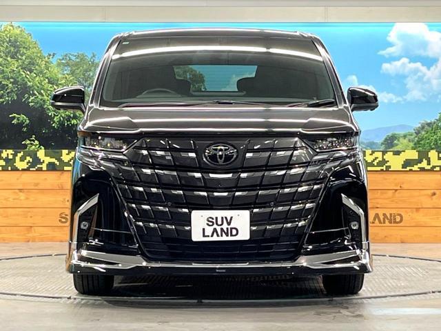 24746770_carP_l_8.jpg