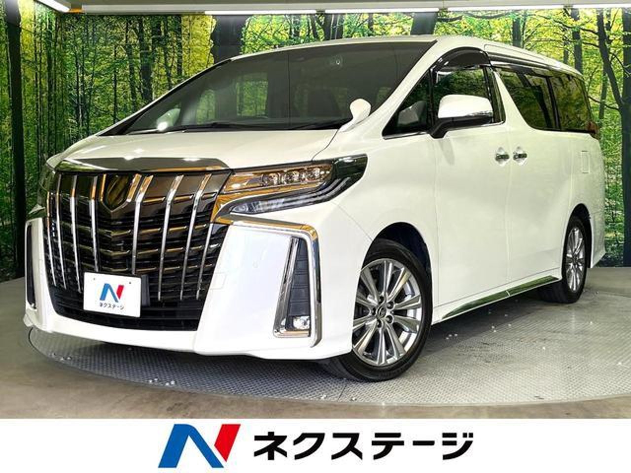 2021 Toyota Alphard, photo 1 of 1