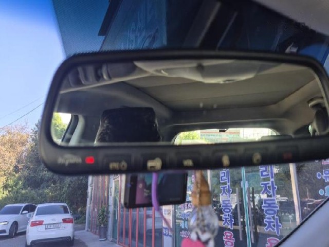 c6f25030b49df1e5796445c4a894345a.jpeg