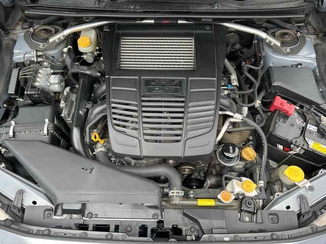 24089841_carP_l_16.jpg