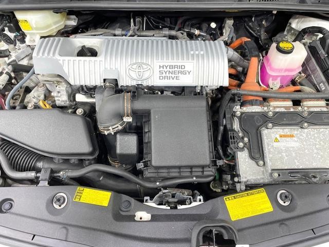 26189766_carP_l_12.jpg