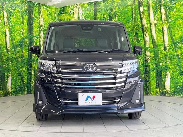 25199791_carP_l_8.jpg
