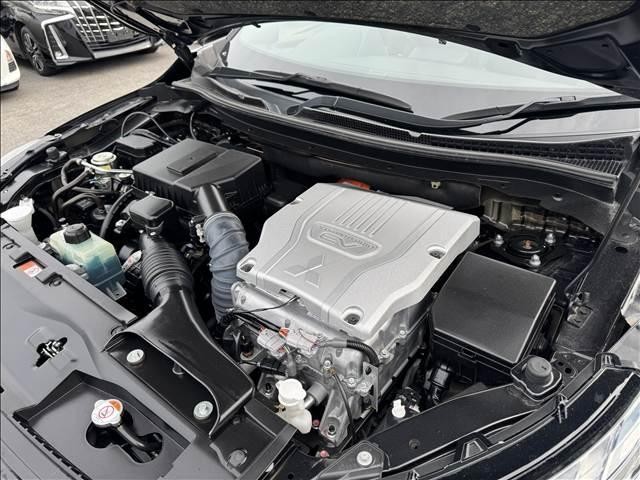 25219721_carP_l_8.jpg