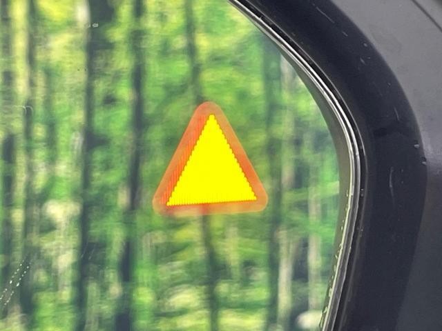 26335586_carP_l_13.jpg