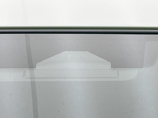 26168384_carP_l_10.jpg