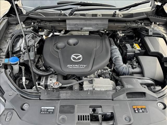 25219634_carP_l_8.jpg
