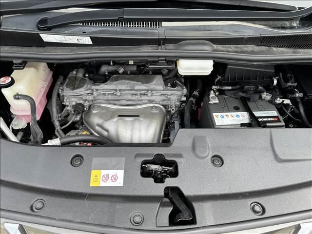 25219635_carP_l_8.jpg