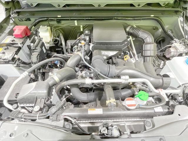 24994983_carP_l_16.jpg