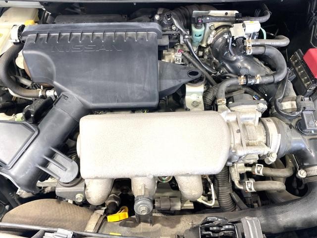 25983336_carP_l_11.jpg