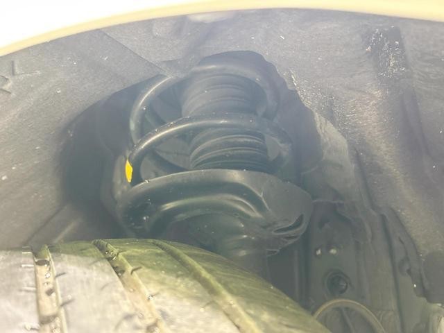 25983348_carP_l_20.jpg