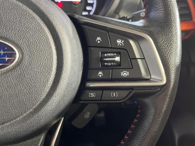 26189841_carP_l_14.jpg