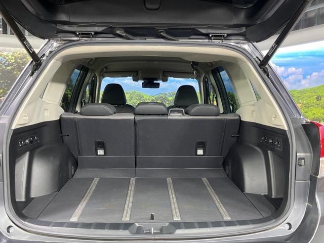 26189841_carP_l_6.jpg