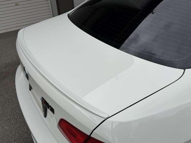 26311526_carP_l_2.jpg