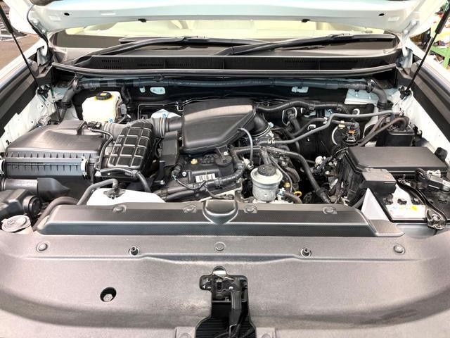25611811_carP_l_18.jpg