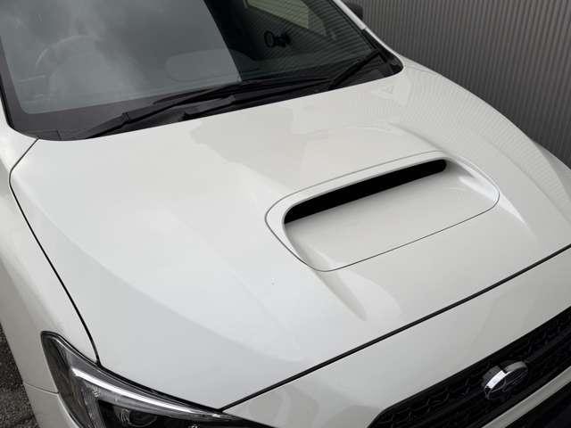 26311527_carP_l_17.jpg