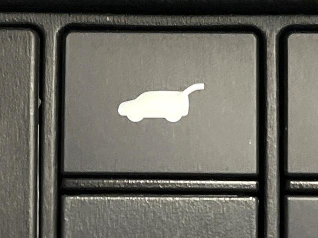 24380425_carP_l_13.jpg