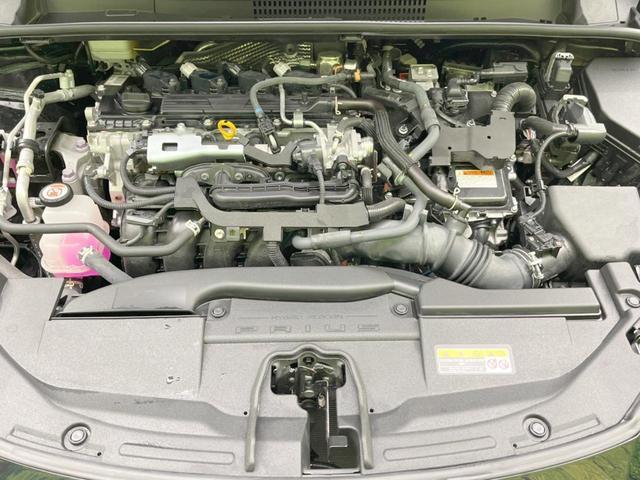 24746944_carP_l_16.jpg