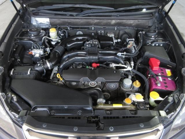 25522380_carP_l_20.jpg