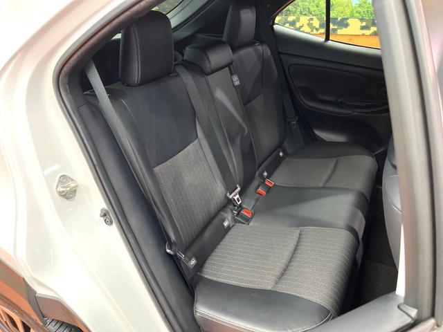 24561828_carP_l_6.jpg
