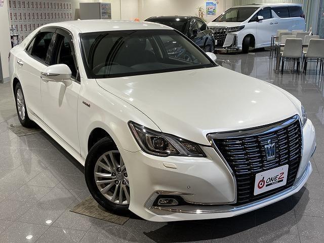 24029858_carP_l_9.jpg