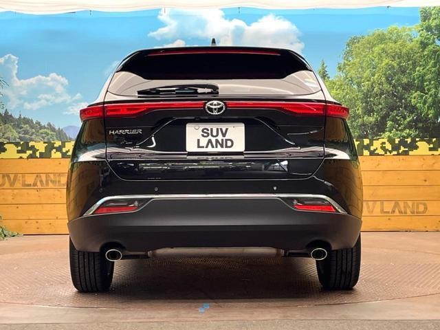 25865942_carP_l_9.jpg