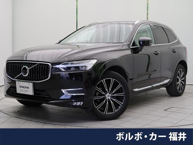 25611951_carP_l_1.jpg