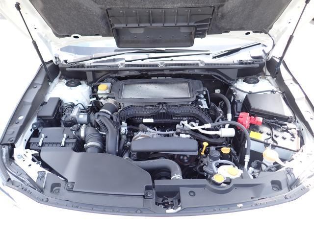 25658098_carP_l_17.jpg