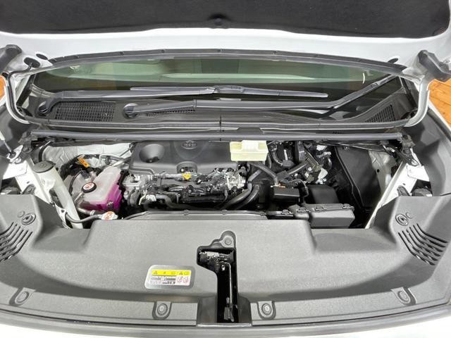 26273057_carP_l_16.jpg