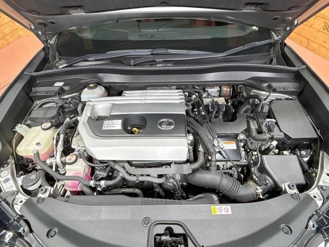 26273058_carP_l_16.jpg