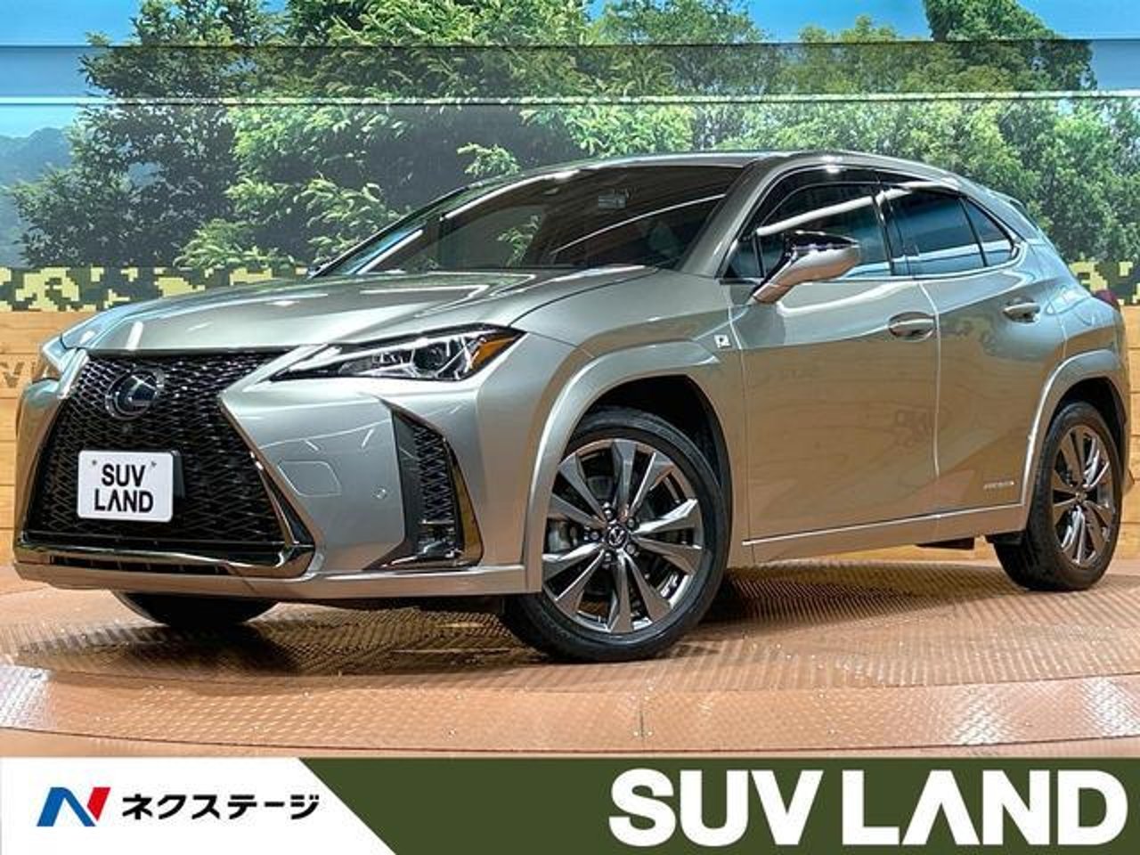 2019 Lexus Ux, photo 1 of 1
