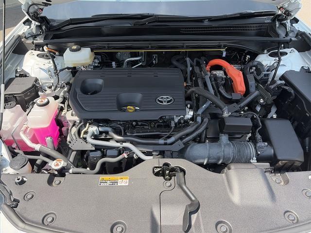 25572301_carP_l_12.jpg