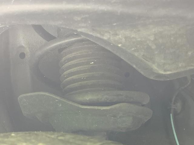 26084643_carP_l_20.jpg