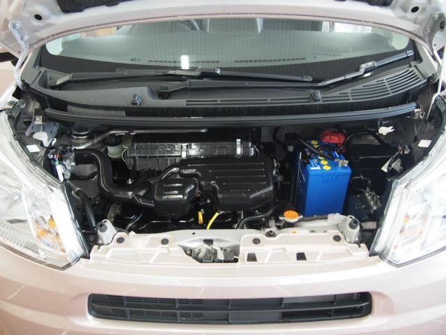 25408114_carP_l_17.jpg
