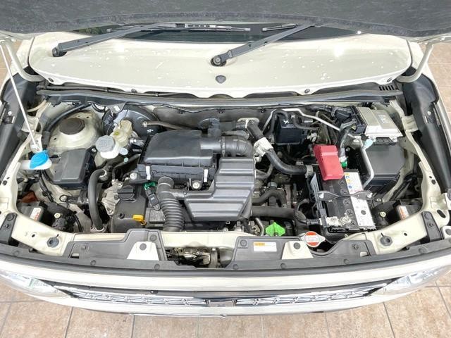 26534742_carP_l_16.jpg