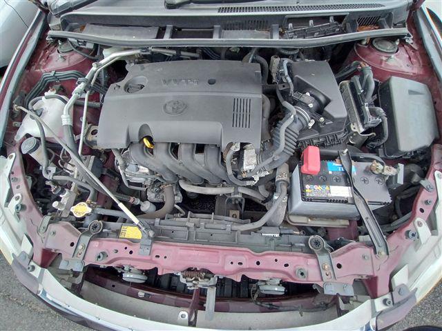 08.jpg