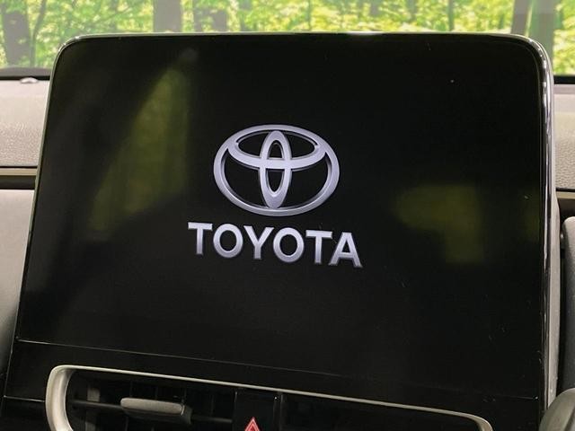 24542123_carP_l_15.jpg