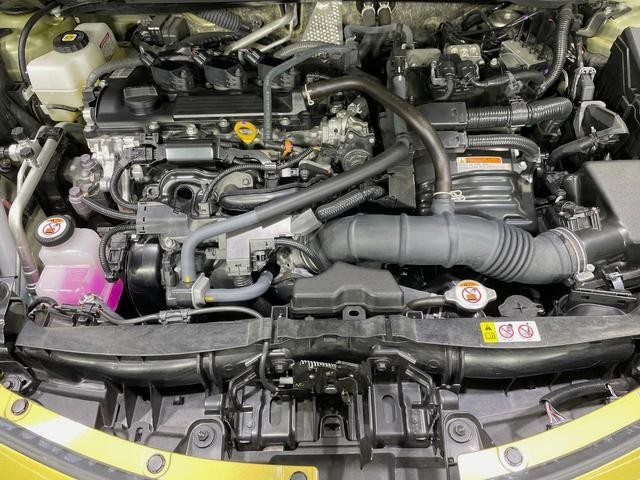 24542123_carP_l_16.jpg