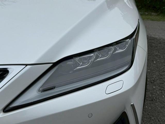 24112619_carP_l_4.jpg