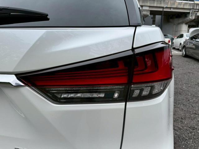 24112619_carP_l_8.jpg