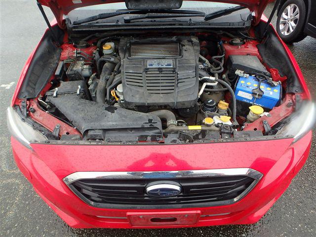 08.jpg